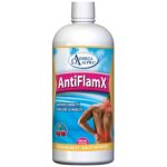 AntiFlamX 500 ml