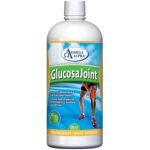 GlucosaJoint 500 ml